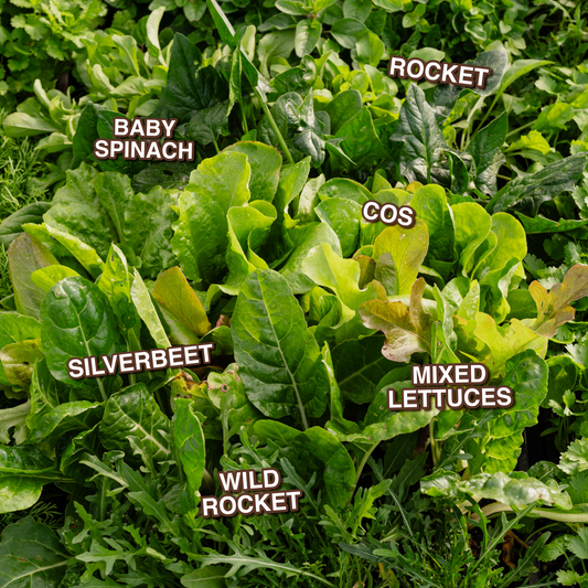 Greens Box
