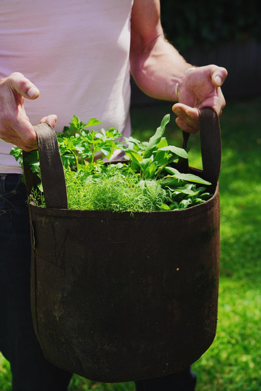 Grow Bags